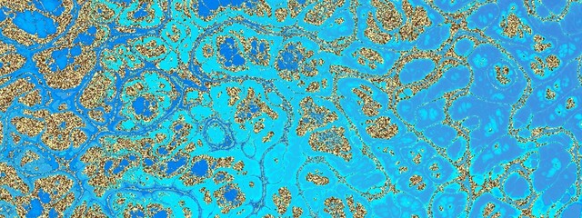 A blend of vibrant blue and golden textures, representing aquatic patterns and organic forms in nature