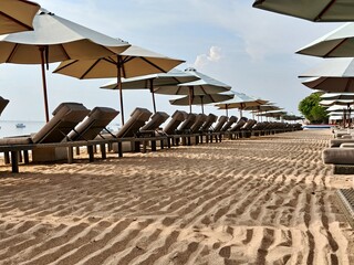 Sunbeds under tropical palms on beach in Bali, Indonesia © DigitalProvoke