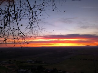 A sunrise background with trees