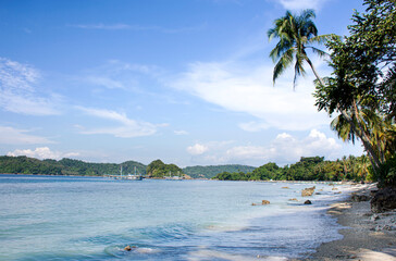 beach with palm trees