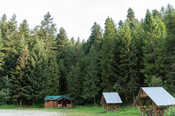 Recreation area, camping in the forest. Wooden houses. Summer travel. Christmas trees in nature.