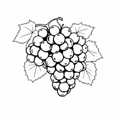 Bunch of Grapes with Vine and Leaves &ndash; Black Outline Vector Illustration