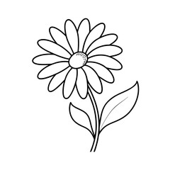 Shasta daisy flowers line art  Vector  on White background .daisy flowers