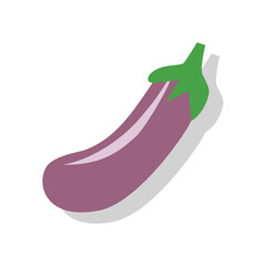 Eggplant illustration. Organic vegetable. Healthy food. Agriculture product. Healthy food. 
