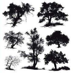 silhouettes of trees