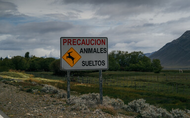A roadside warning sign in Patagonia reads &ldquo;Precauci&oacute;n: Animales Sueltos,&rdquo; cautioning drivers about loose animals. The scene features rugged terrain and hints of wilderness, underlining the region