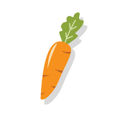 Carrot illustration. Vitamin A. Vegetable illustration. Organic vegetable. Vegetable element. Carrot element. Healthy food. Healthy vegetable.