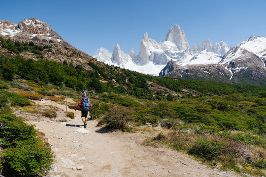 Solo hiker walking along a rocky trail surrounded by greenery in Patagonia, with the iconic Fitz Roy peak and snow-capped mountains towering in the distance under a bright blue sky