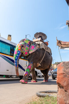 Elefant missbraucht mit Sattel zum reiten in den Stra&szlig;en und Gassen von Amber,  jaipur, rajasthan, indien, asien