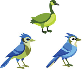 set of blue birds