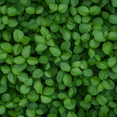  Lush Green Leaf Background Illustration