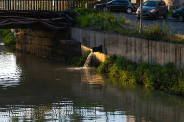 Water flowing from a pipe into a river, mixing with nature, showing impact of industry on environment. Concrete wall contrasts with beauty of river, highlighting pollution issue