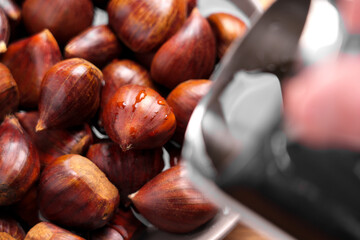Top view of freshly harvested organic chestnuts rinsing with water from a stainless steel container