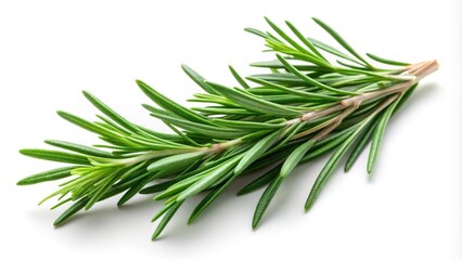 Fototapeta premium Fresh Rosemary Sprig Isolated on White Background - Aromatic Herb, Culinary Ingredient, Natural Flavoring, Organic Seasoning, Greenery, Herbal Medicine, Kitchen Essential, Gourmet Cooking