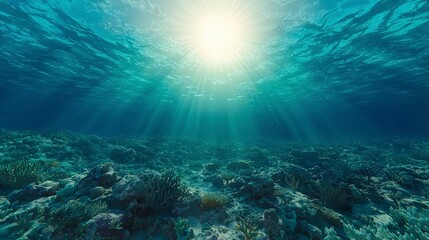 Fototapeta premium Serene Underwater Seascape Sunbeams Illuminate Coral Reef