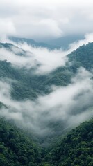 The sea of clouds in mountainous areas
