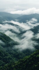 Fototapeta premium The sea of clouds in mountainous areas
