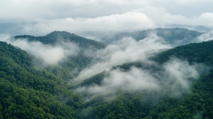 The sea of clouds in mountainous areas