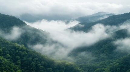 Fototapeta premium The sea of clouds in mountainous areas