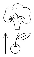 Broccoli tree and cherry with leaf. Upward arrow indicates growth or improvement. Ideal for healthy eating, nutrition, agriculture, growth, sustainability, wellness and education. Line metaphor
