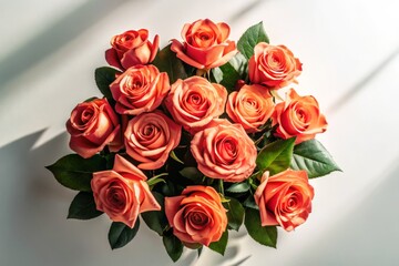 Festive Coral Rose Bouquet Silhouette: Overhead Flat Lay Photography