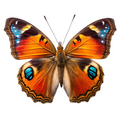 Vibrant monarch butterfly with striking orange and black wings, showcasing nature's beauty and elegance. 
