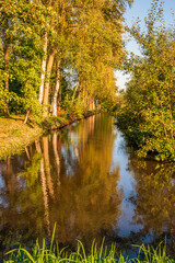 Tall trees reflected in the water of a wide ditch. The photo was taken on a sunny day in the Dutch autumn season.