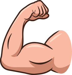 Illustration of a muscular biceps.