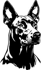 Black and white illustration of a Doberman.