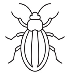 beetle