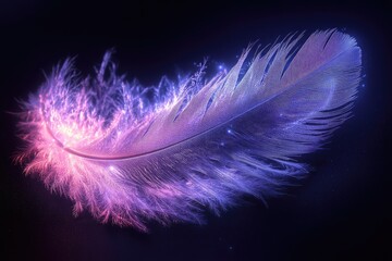 Obraz premium A single feather, glowing with purple and pink light, floats in a dark, starry background.