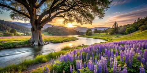Tranquil Long Exposure of Lupine Wildflowers and Valley Oak Tree by a Serene River