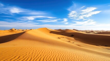 Golden Sands of the Sahara: A Desert Panorama