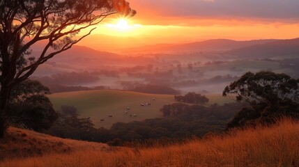 Naklejka premium Sunrise over misty valley, cattle grazing.