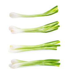 Fresh ripe green onions on white background