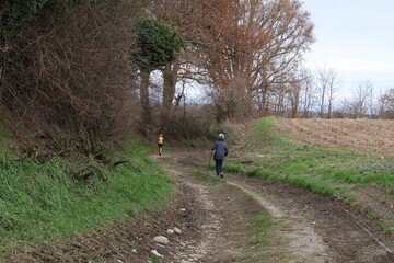 vieille dame marchant sur un chemin dans la campagne