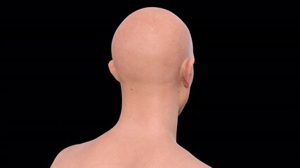 Man's head and face rotating, animation