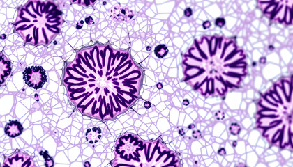 Set of science microscopic section of tissue. Real shots. Possib isolated . Shades of white., png