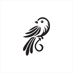 bird of paradise