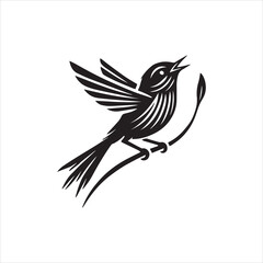 bird of paradise