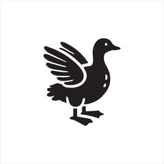 dove of peace
