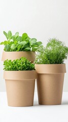 Obraz premium eco-friendly packaging glowing with green certification.