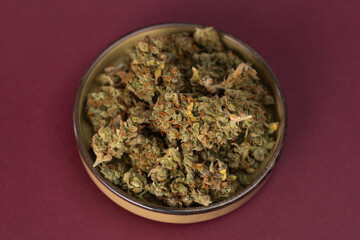on a dark red background in a bowl some dry buds of medical marijuana
