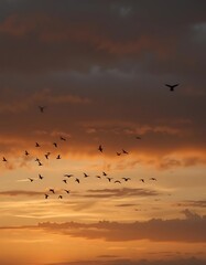 Fototapeta premium Silhouette of birds flying over a sunset with layered clouds