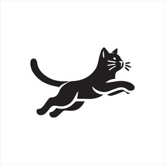 cat on a white background