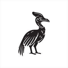 black and white bird