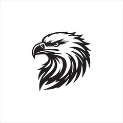 eagle vector illustration
