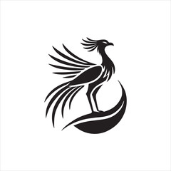 black and white bird