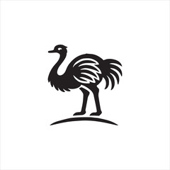 black and white bird