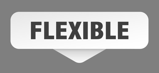 FLEXIBLE banner on transparent background